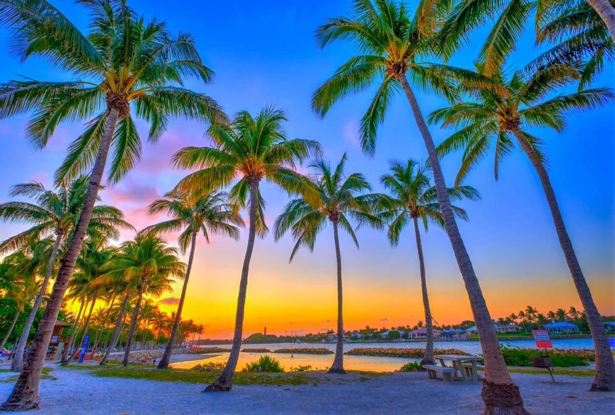 South Florida technology partner